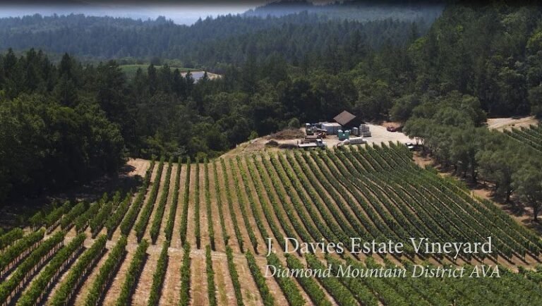 42617 99d05a8a27df 768x434