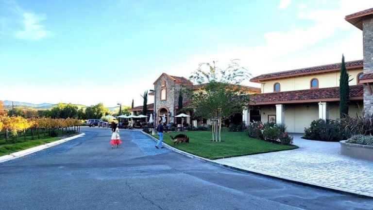 42635 db11cd95809d 768x433