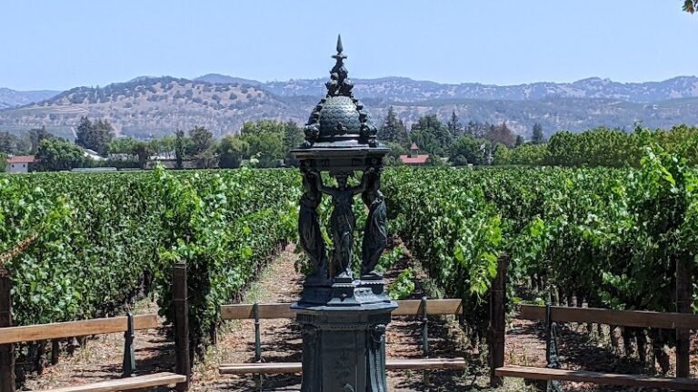 42724 9e6f94e80fe0 768x432