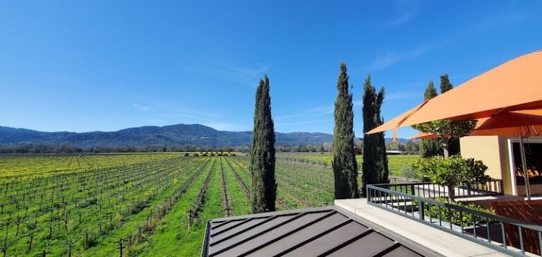 42742 87730ea08893 768x364