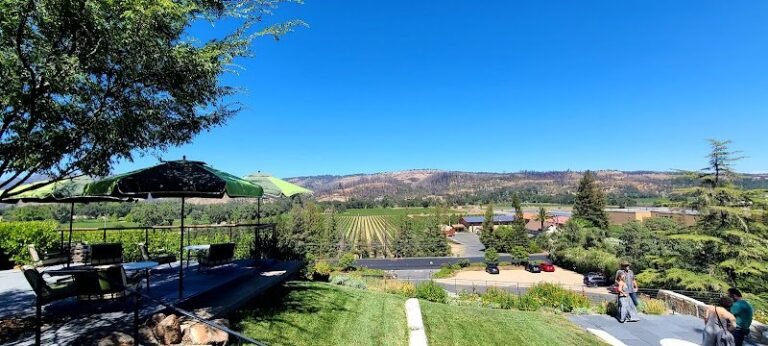 42792 dc9470519fcb 768x346