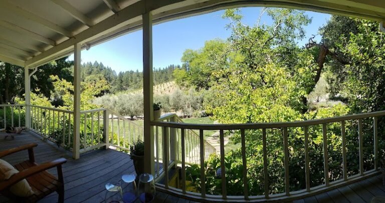 42816 3f04b22c272c 768x405