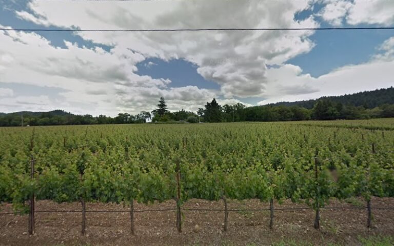 42907 57c73d490f77 768x480