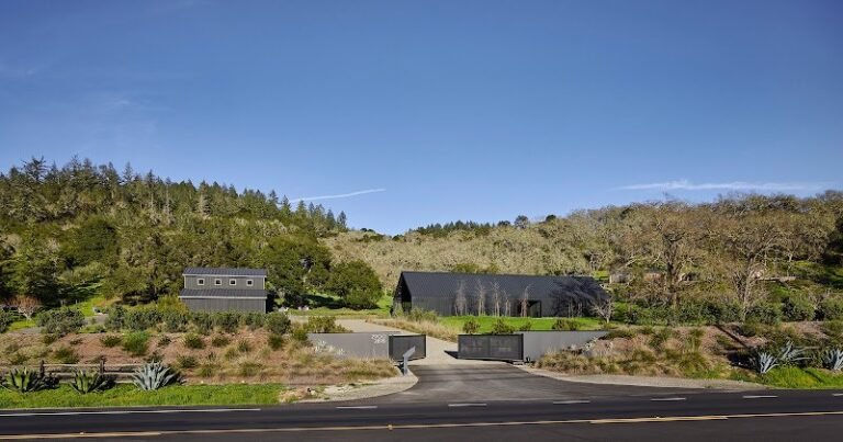 42915 d4a252bee0ef 768x403