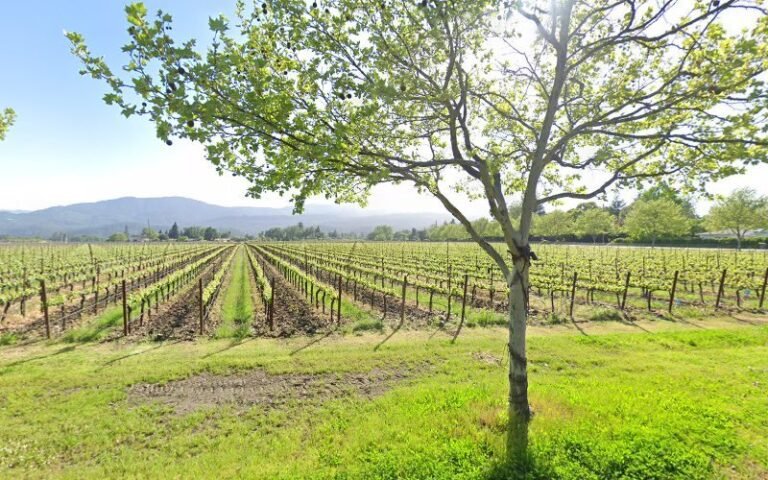 42927 d8ef0891a1d7 768x480