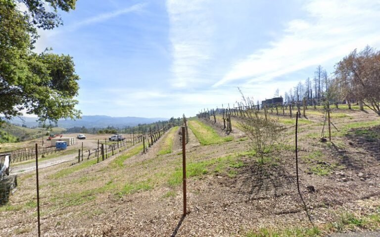 42935 2a02422adab4 768x480