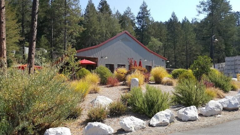 42969 bf522ee0e579 768x432