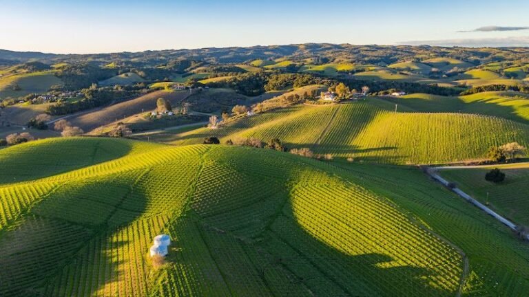 42985 36617a536382 768x432