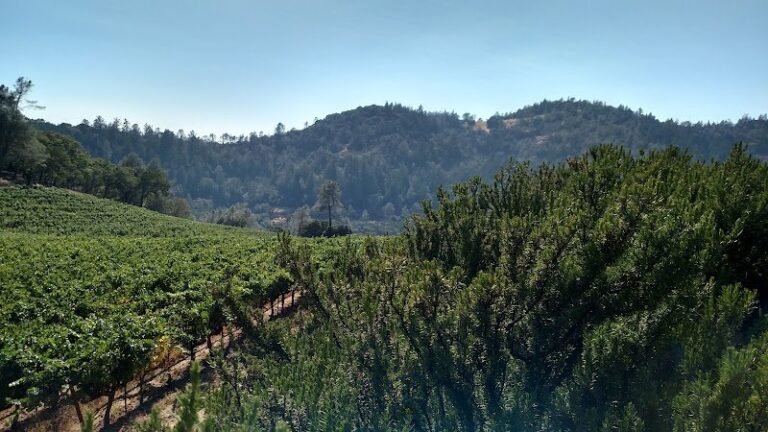 42987 a774efd92f1c 768x432