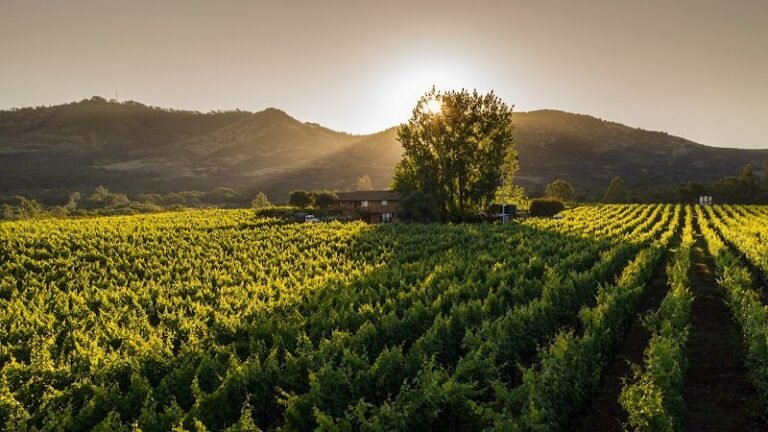 43007 c40f86717be7 768x432