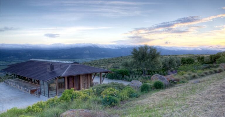 43013 3df90f9eda4b 768x402