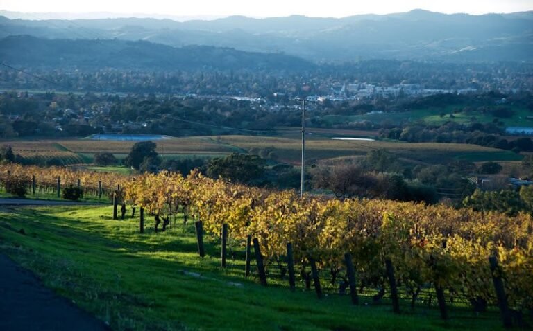 43021 cb8800458277 768x478