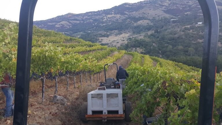 43025 863d18229519 768x432