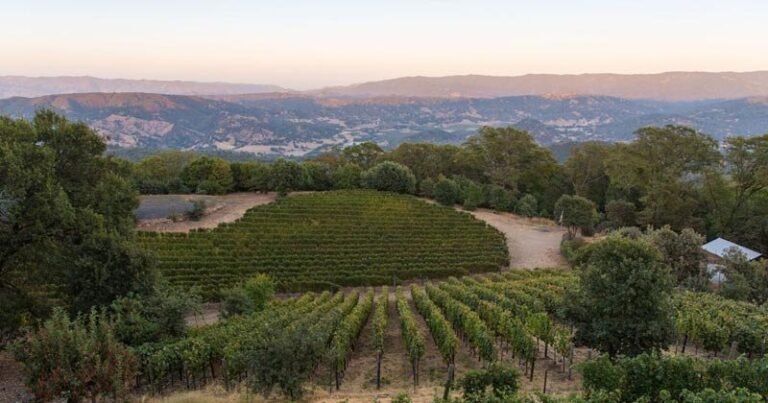 43034 6ac83400232b 768x403