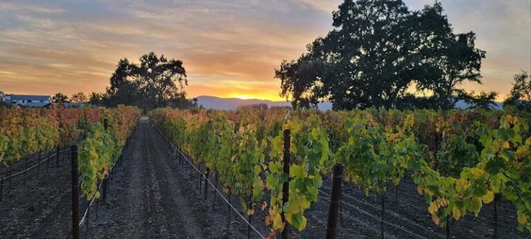 43071 720611e3114a 768x346