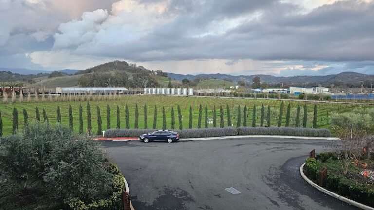 43109 aa29383ccf94 768x432