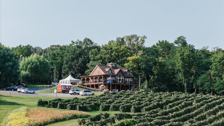 43202 b46778881ea2 768x432