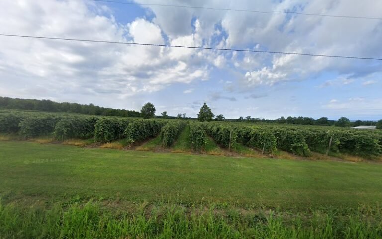 43230 2771acd6726e 768x480