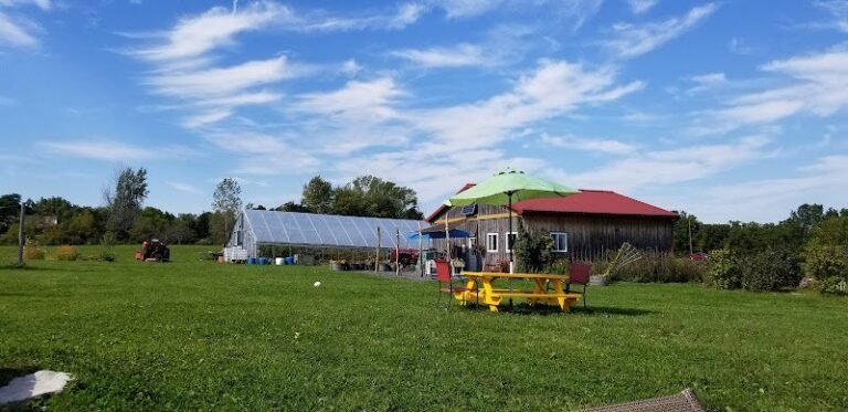 43269 e9fa792c1344 768x373