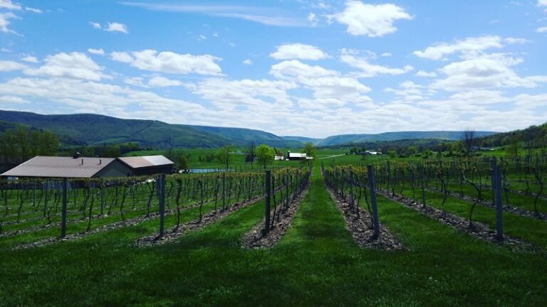 43301 5a01d9246788 768x432