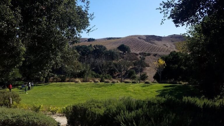 43316 2ede2b7d7620 768x432