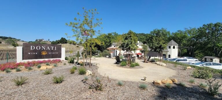 43394 aa52b5b31b05 768x346