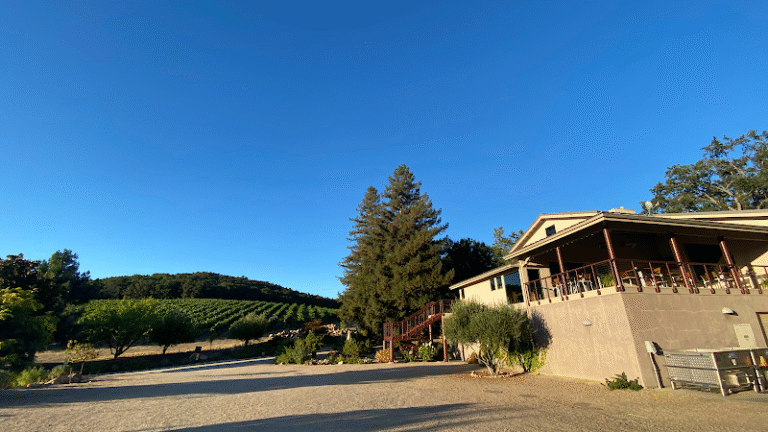 43413 7078aaa07bb6 768x432