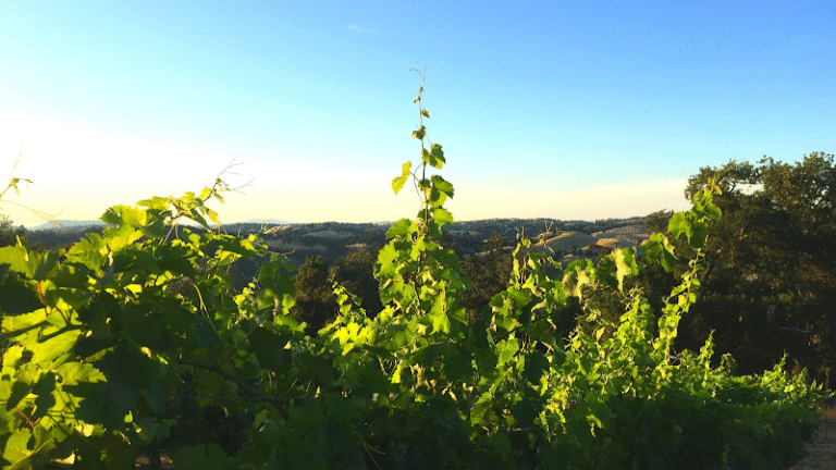 43433 5fbe522cf11c 768x432