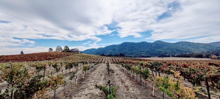 43447 9718a034d5fe 768x347