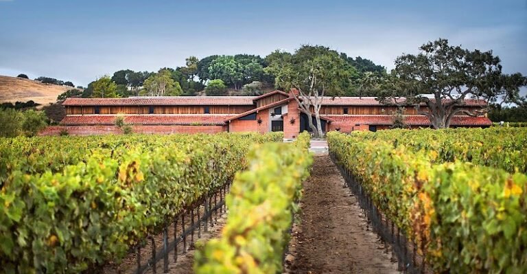 43505 a825296e69c6 768x399