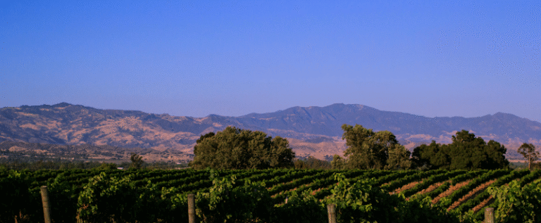 43535 e8e87fde45b1 768x317