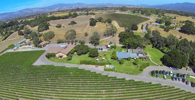 43577 d8e1a4dbedd5 768x395