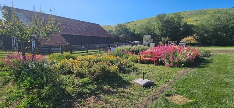 43618 a444601b2d2d 768x355