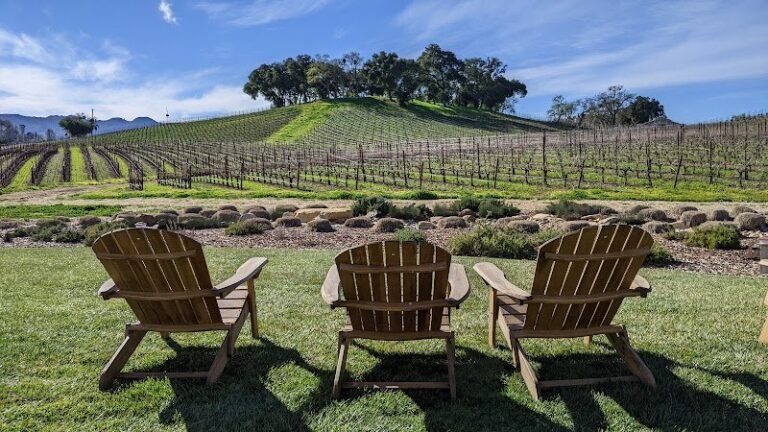 43649 535ad2fe779b 768x432