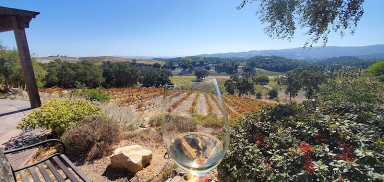 43659 7070f4be35f4 768x364