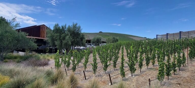 43662 5e1c0fee8deb 768x346