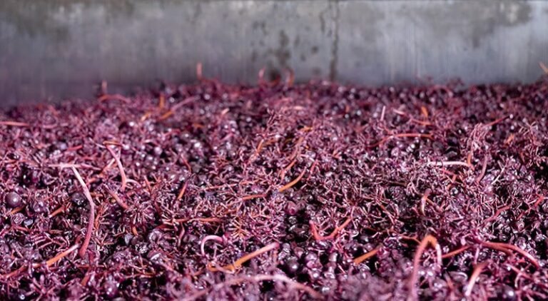 43789 6259f9e61ef9 768x422