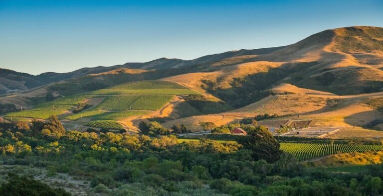 43884 9b6f6d9bca2c 768x394