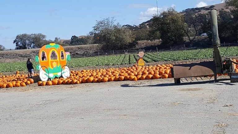 43908 f210ded26451 768x432