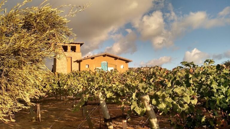 43916 a53d1965f866 768x432