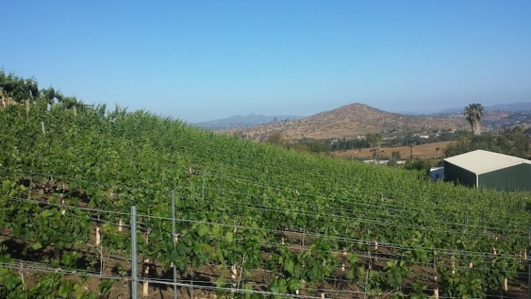 43950 328ceaefb076 768x432