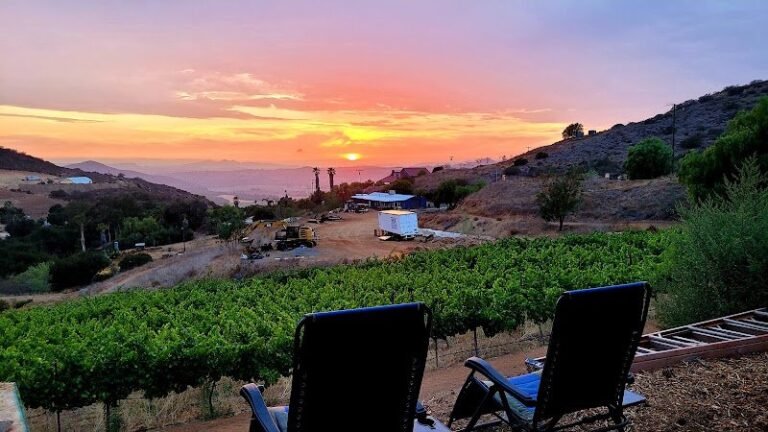 43967 992e9f78ce70 768x432