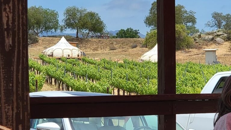 44051 54661e32ea9d 768x432