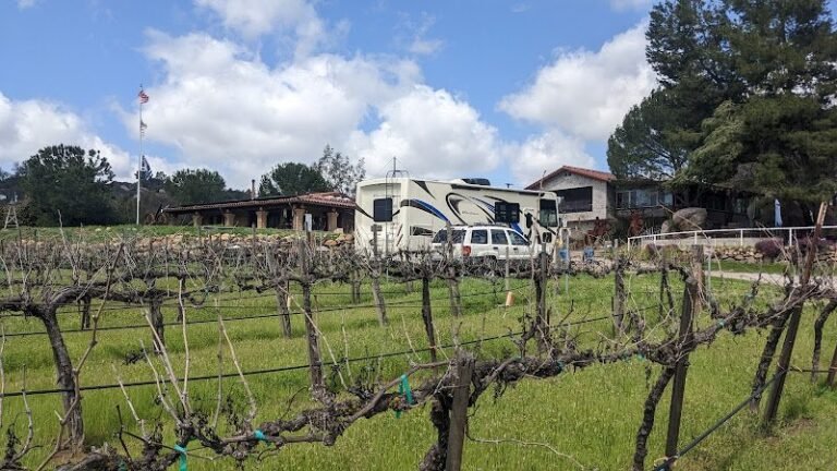 44053 753901617033 768x432