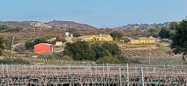 44073 3dbc02432109 768x354