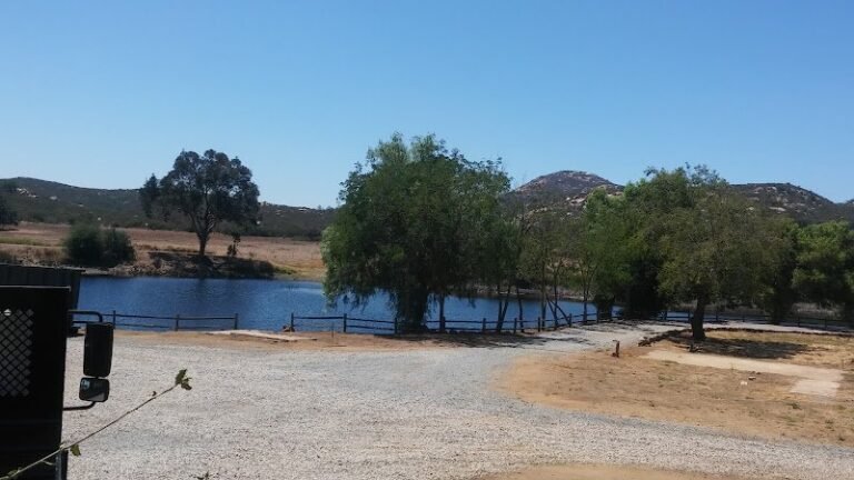 44081 0d35f8a75cbe 768x432