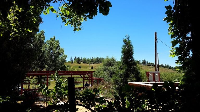 44095 eba25355846f 768x432