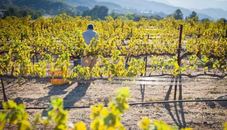 44107 00bfd0322dd4 768x442