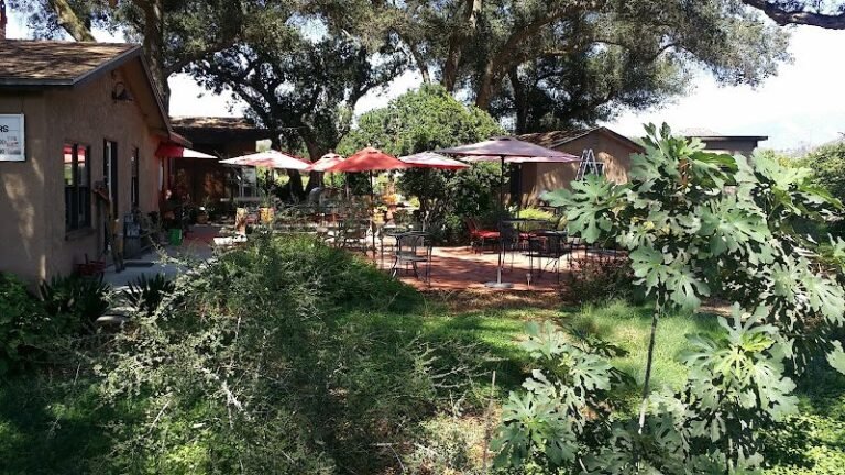 44137 b2faaac8956c 768x432