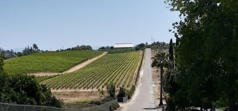 44143 10e1798a8d1b 768x360